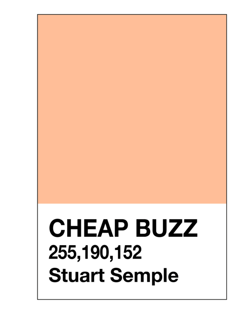 Cheap Buzz - 50g powder paint pigment - Not Peach Fuzz
