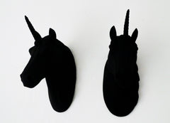 The world’s mattest, flattest, black paint 