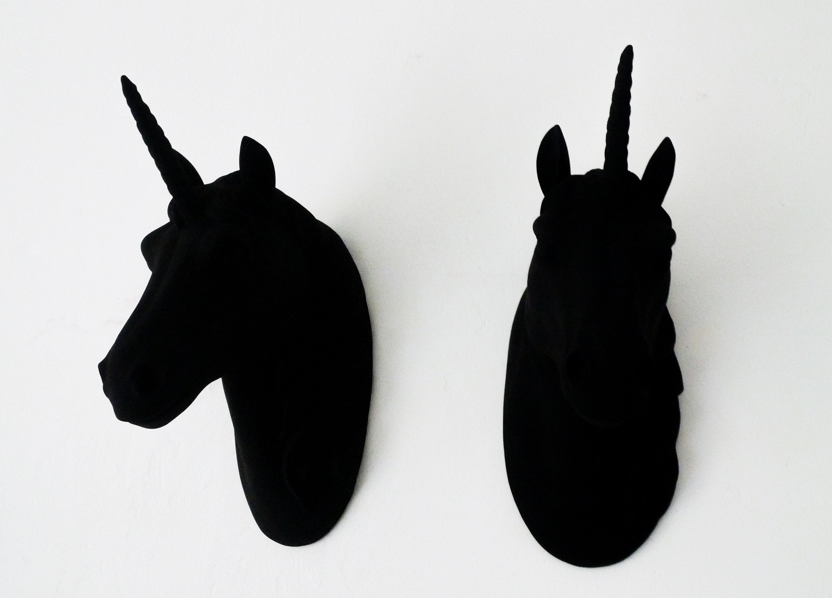 The world’s mattest, flattest, black paint 