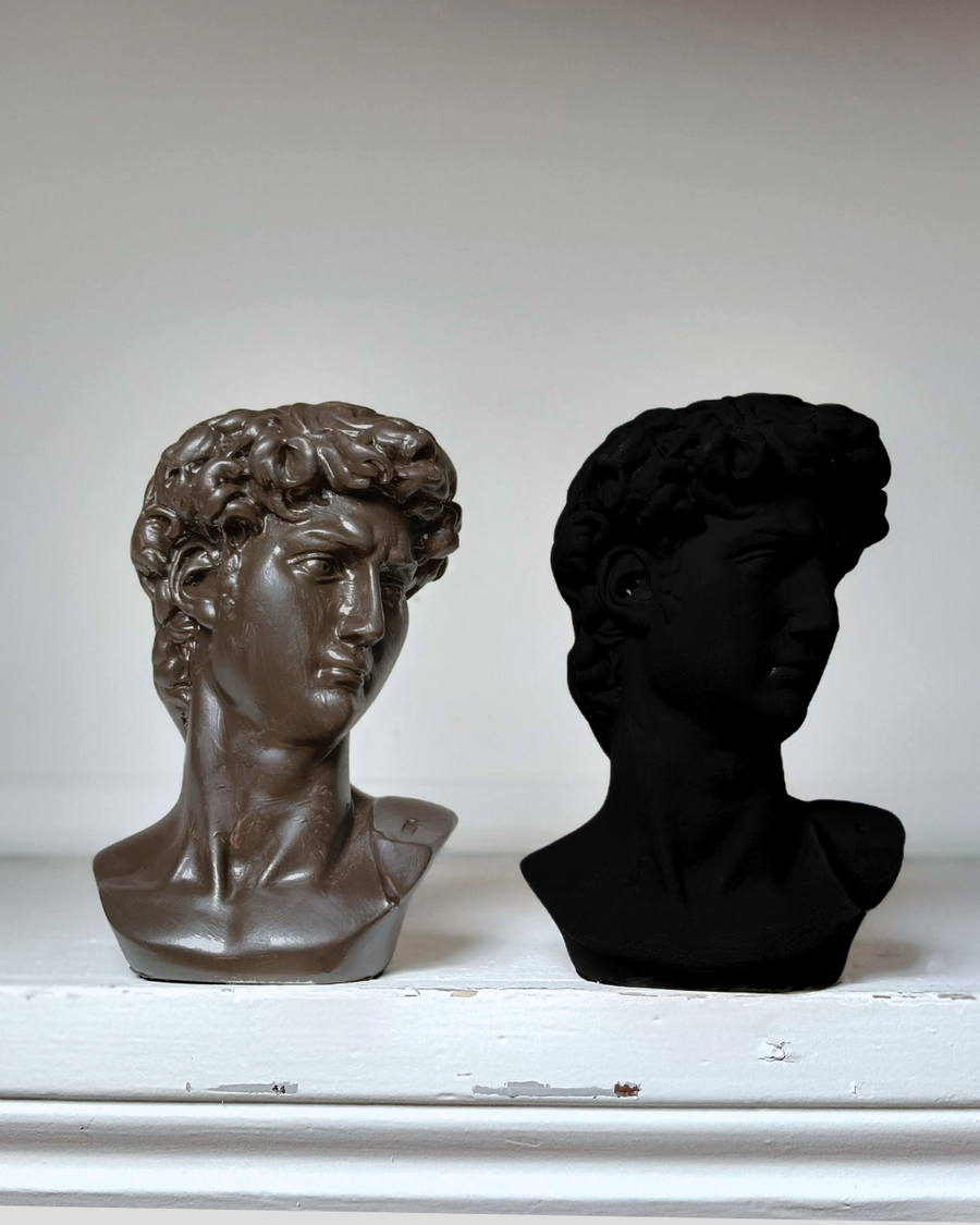 Two David busts on a white shelf: one in ordinary dark paint showing every curl, one in Black 4.0 where the face has gone flat