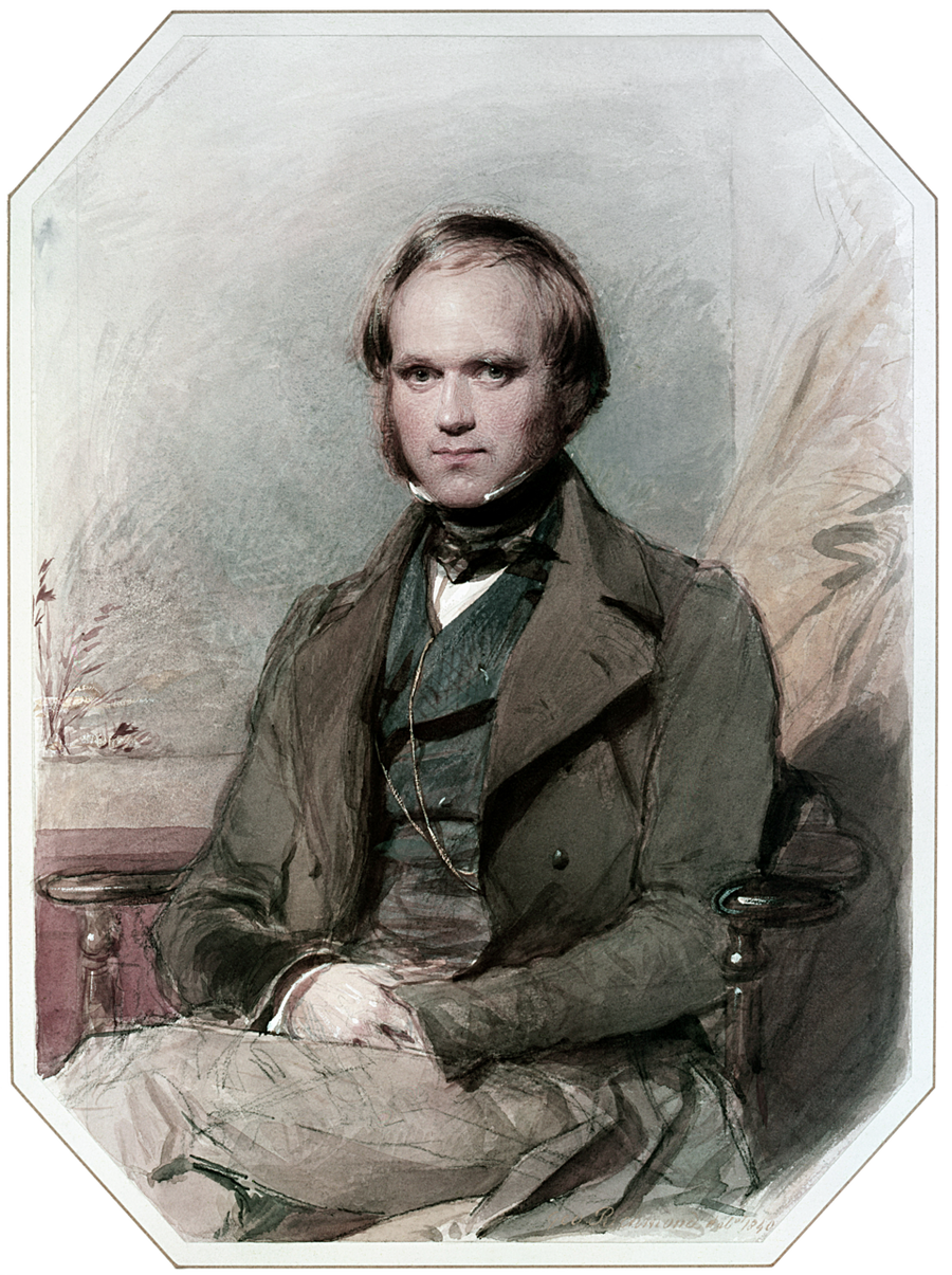 Watercolour portrait of the young Charles Darwin by George Richmond