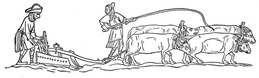 Medieval illustration of peasants ploughing a field with oxen
