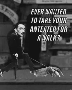 Artistic License: walk your anteater