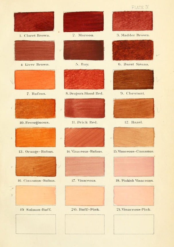 Pantone and the business of owning a colour language